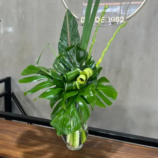 Arreglo de verde chloris